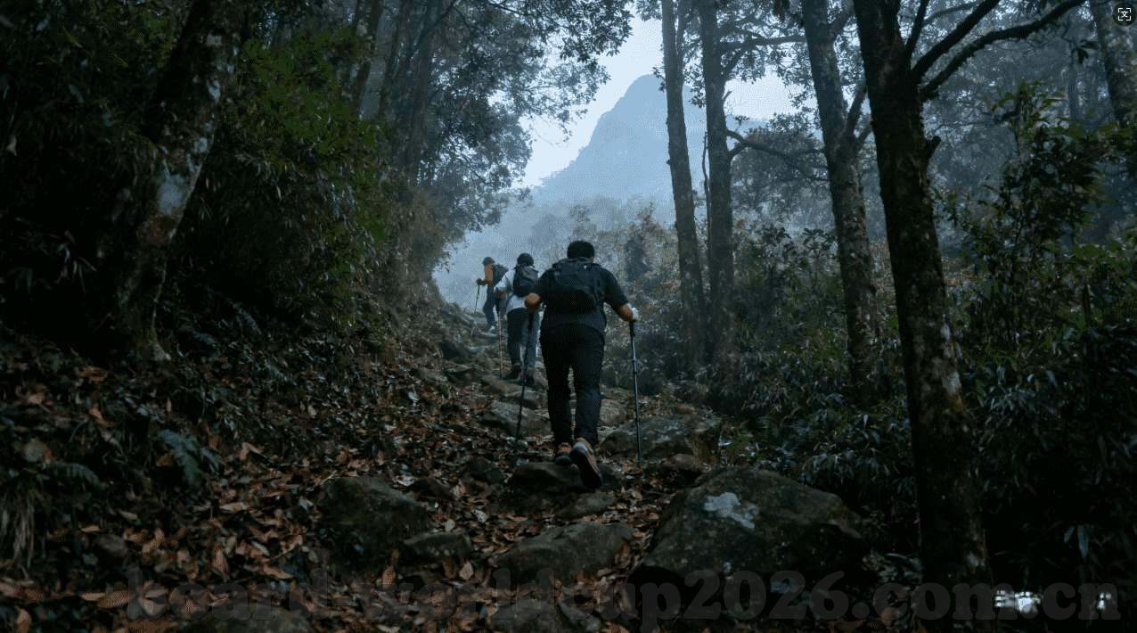 世界杯买球软件推荐-世界杯买球软件推荐，精准预测，畅享赛事